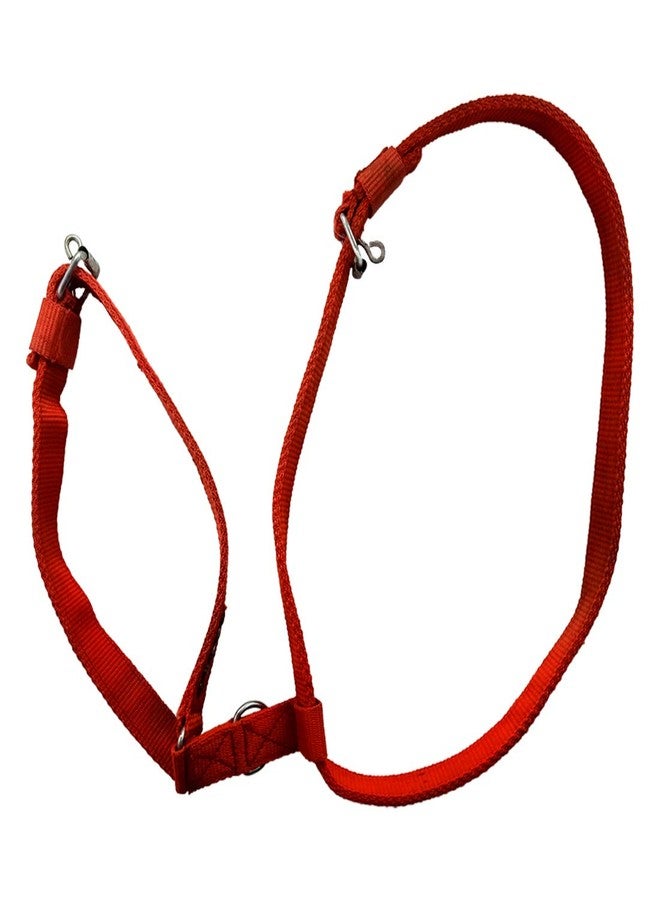 DIY Crafts Pack of 1 Pc, Red, Adjustable Dog Harness Body (Pack of 1 Pc, Red) - Image 2